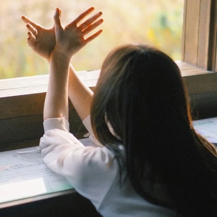 神探特伦特第三季